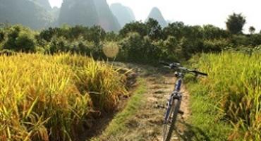 Bike, Guangxi