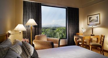 Garden View Room, Hyatt Regency