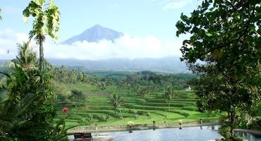 Ijen Resort & Villas