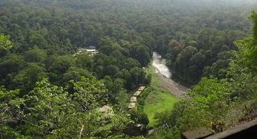 Borneo Rainforest Lodge