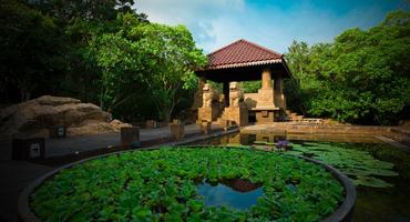 Forest Rock Garden Resort