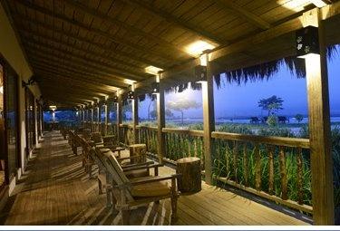 Terrace, Barahi Jungle Lodge