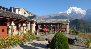 Himalayan Teahouses