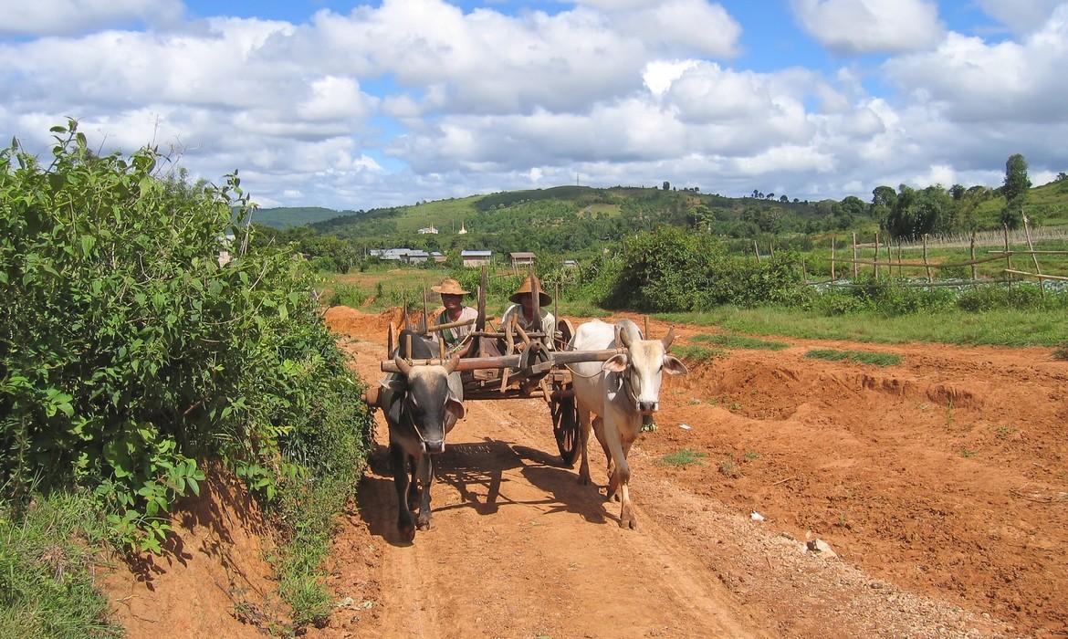 Burmese farmers, Kalaw