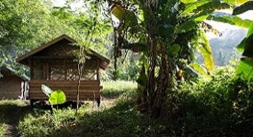 Nam Nern Night Safari, Laos