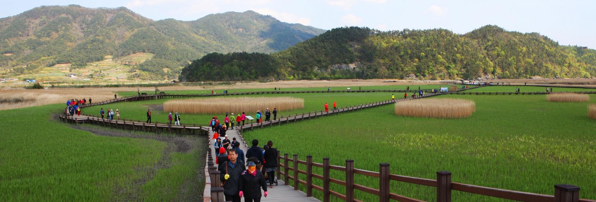 Suncheonman Bay Ecological Park, Hadong County