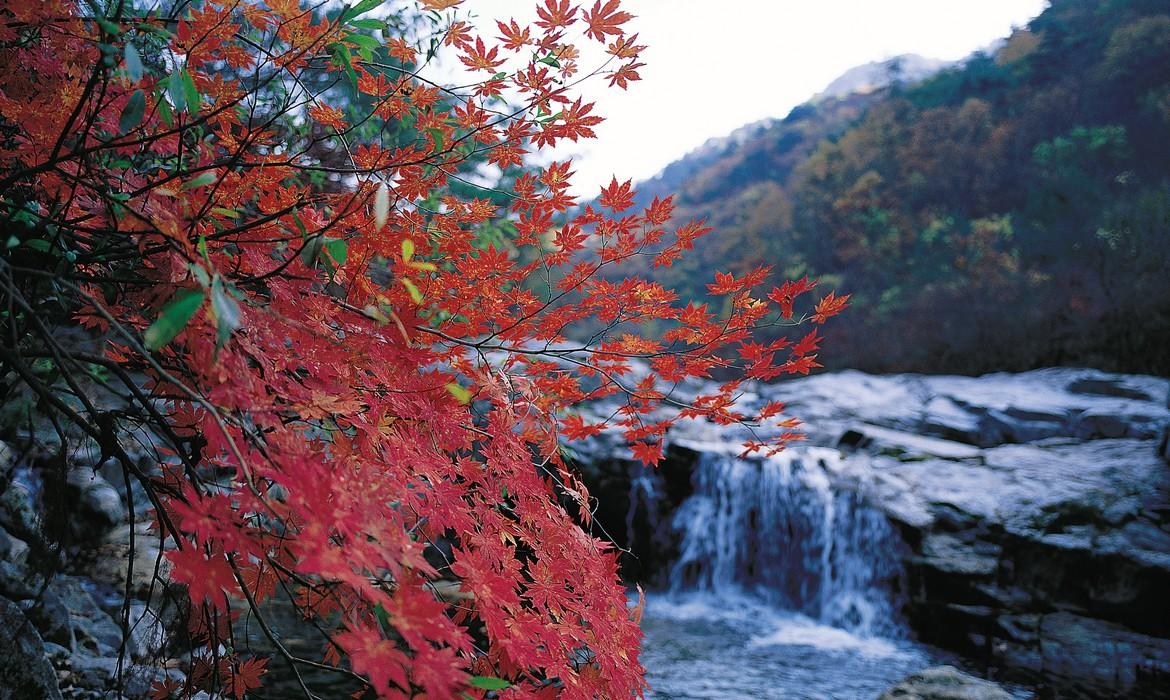 Songnisan National Park