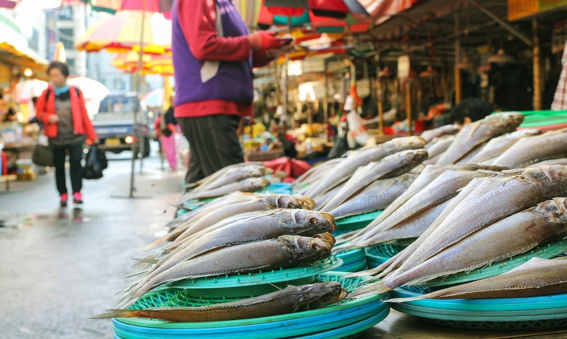 Fish market, Busan