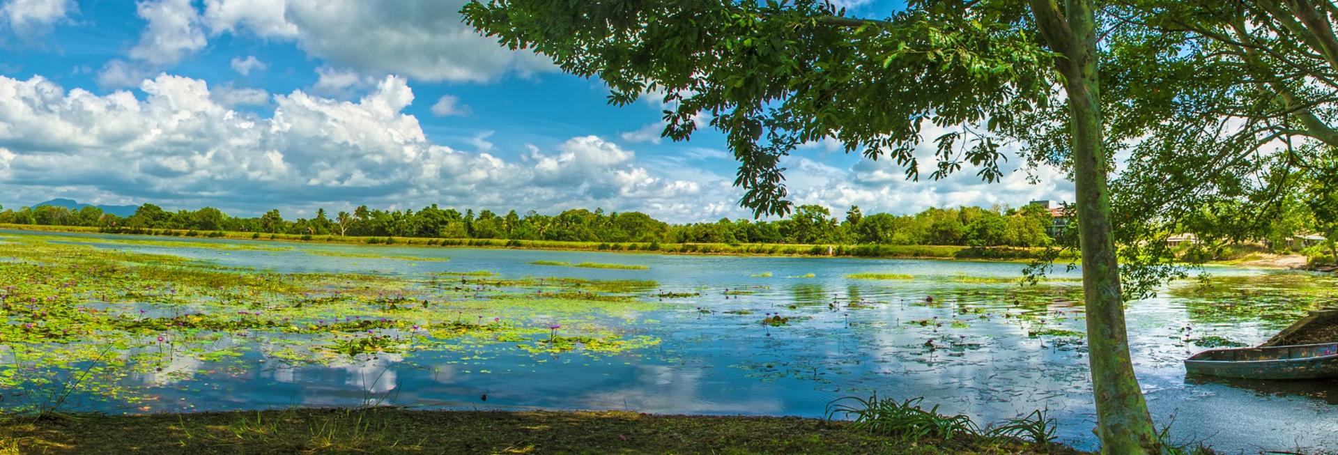 Lake, Habarana, Sri Lanka