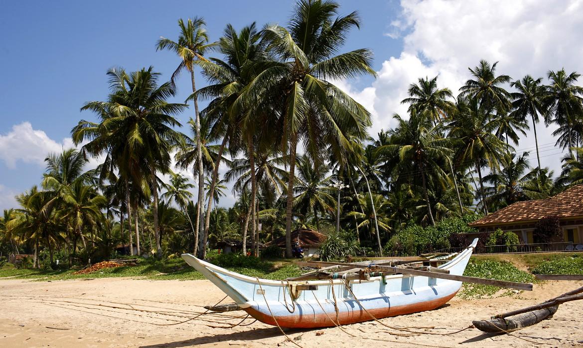 Boat on Beach, South Coast