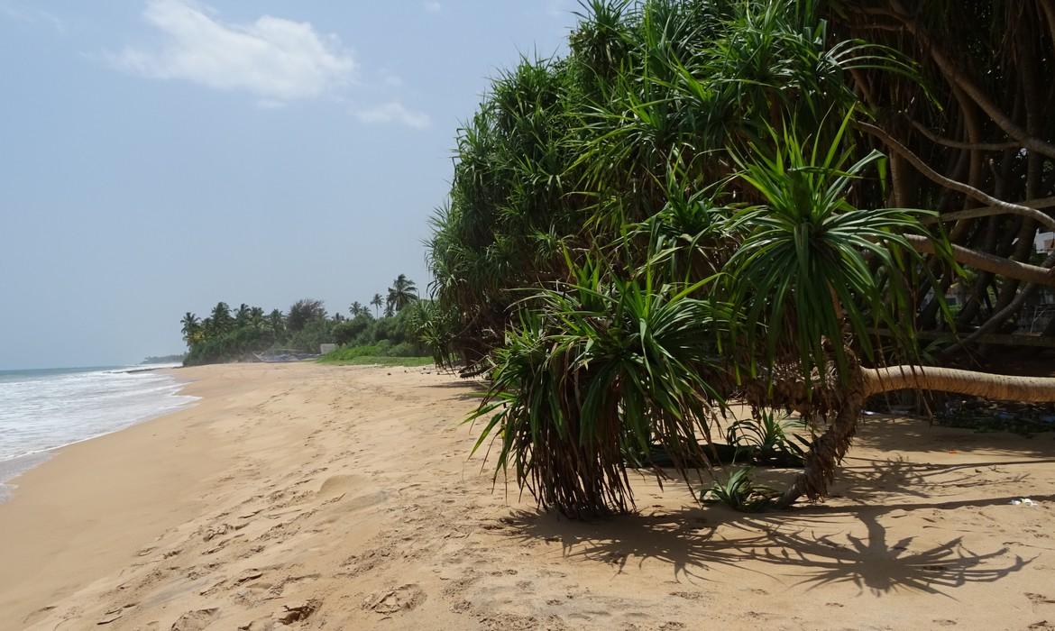 Beach, Kosgoda