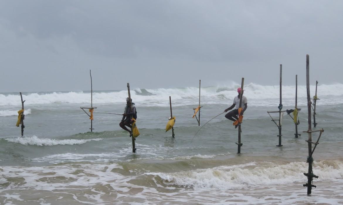 Fishermen on stick, Mirissa