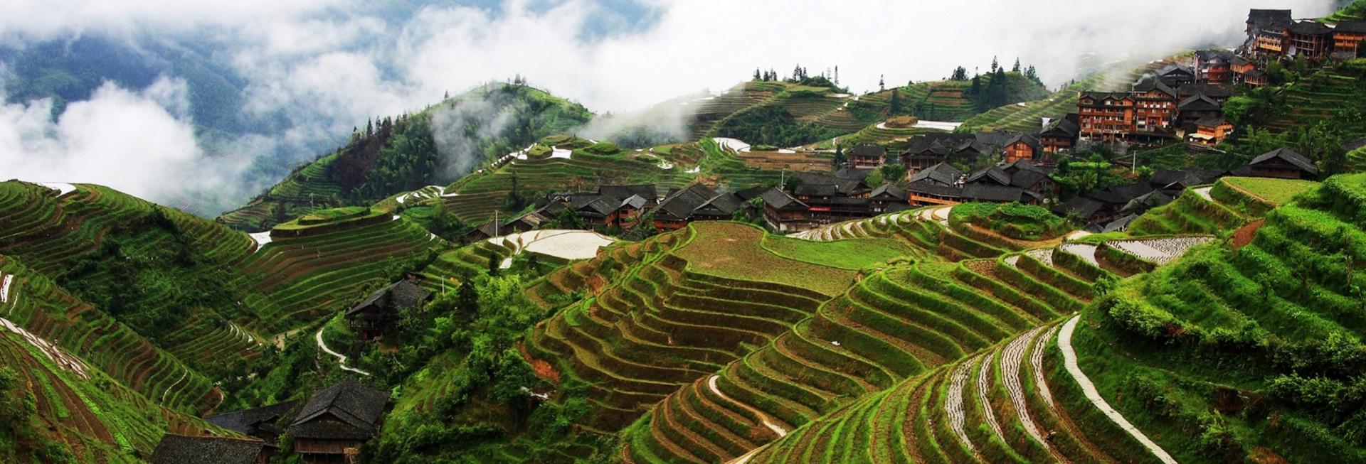Longi Rice Terraces