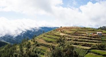 Mount Pulag, Baguio, the Philippines