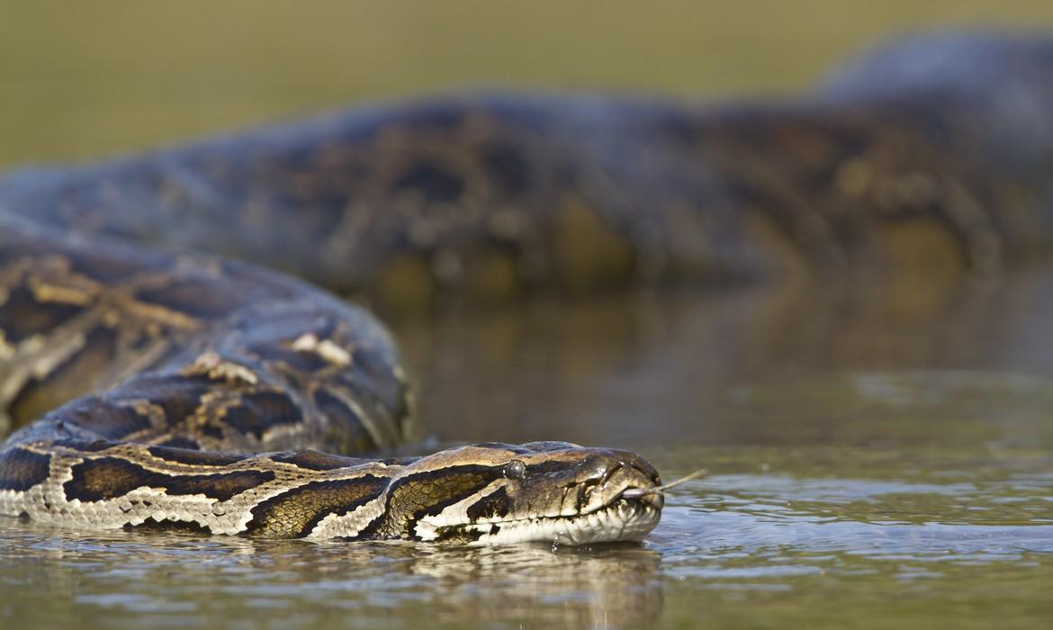 Bardia National Park