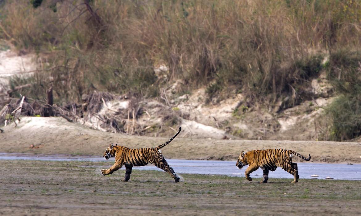 Bardia National Park
