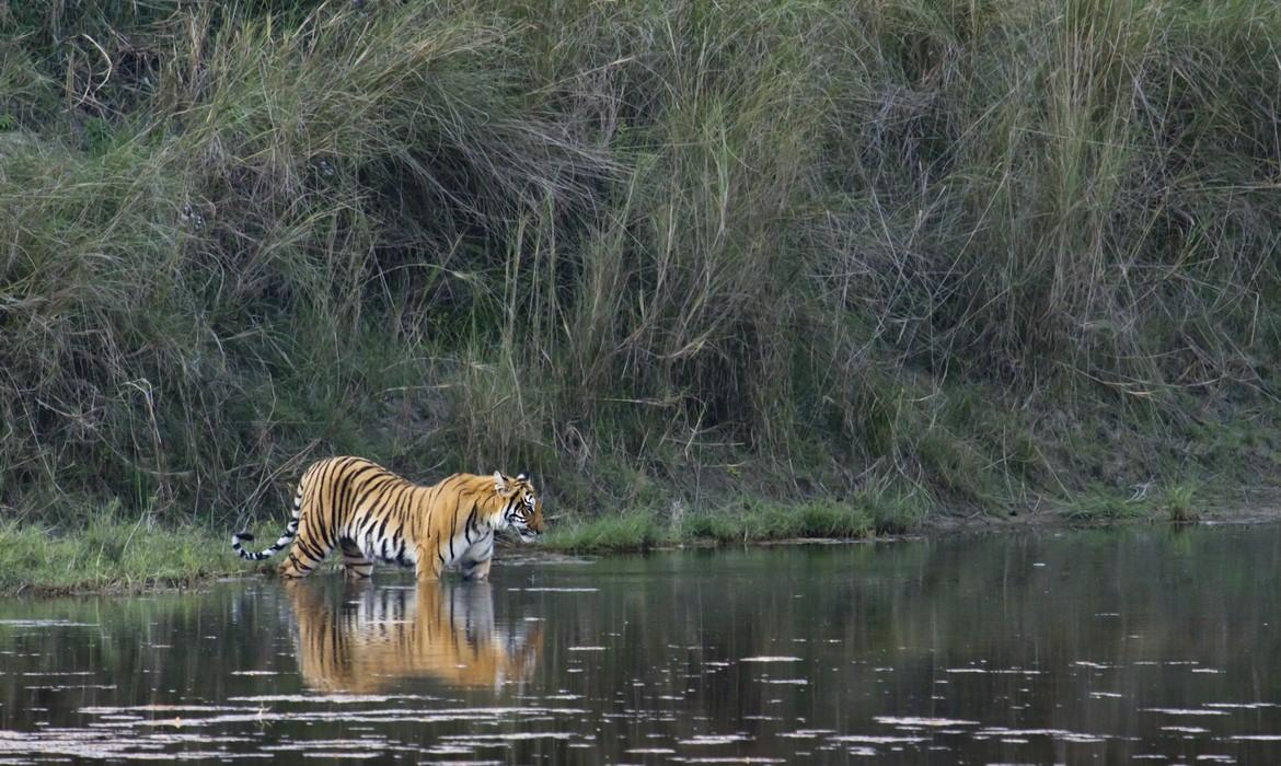 Bardia National Park