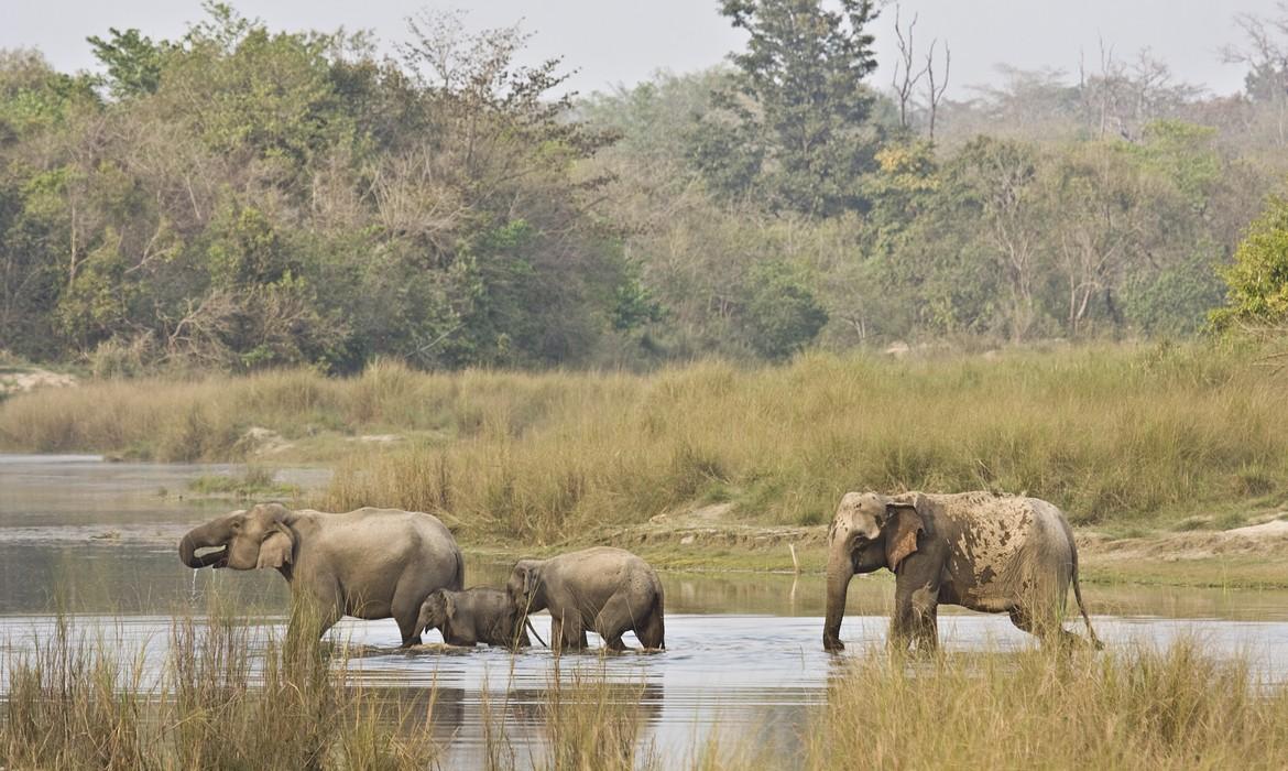 Bardia National Park
