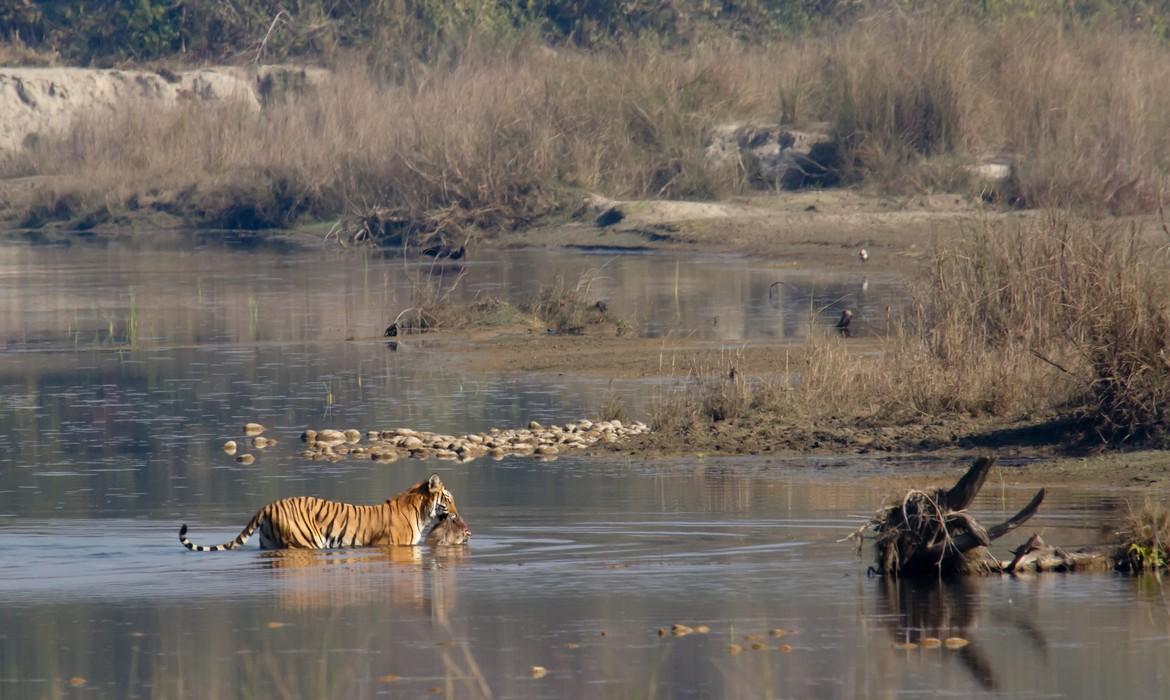 Chitwan National Park