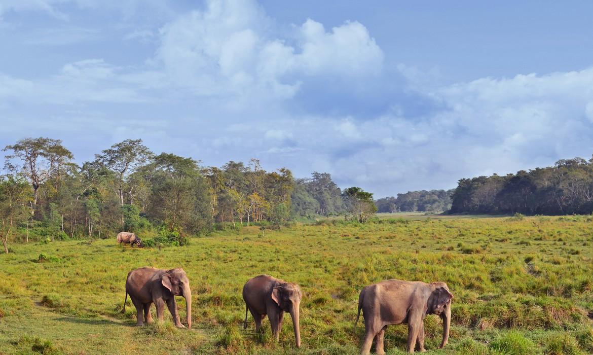 Chitwan National Park