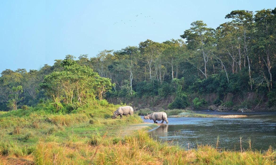 Chitwan National Park
