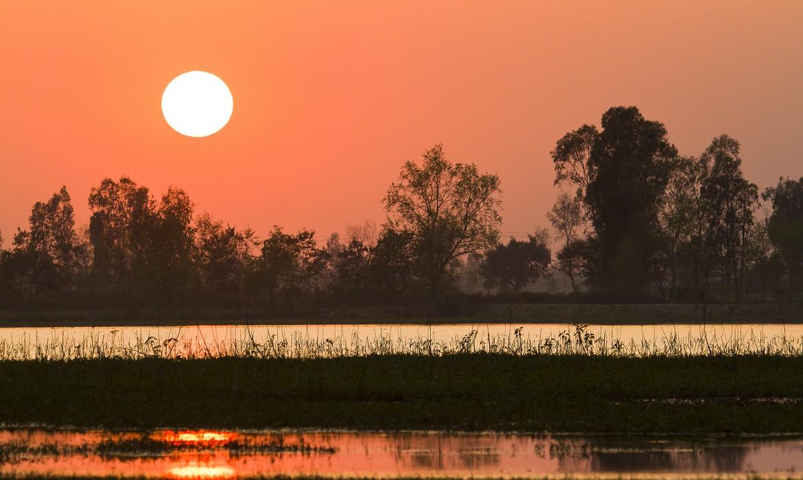 Chitwan National Park