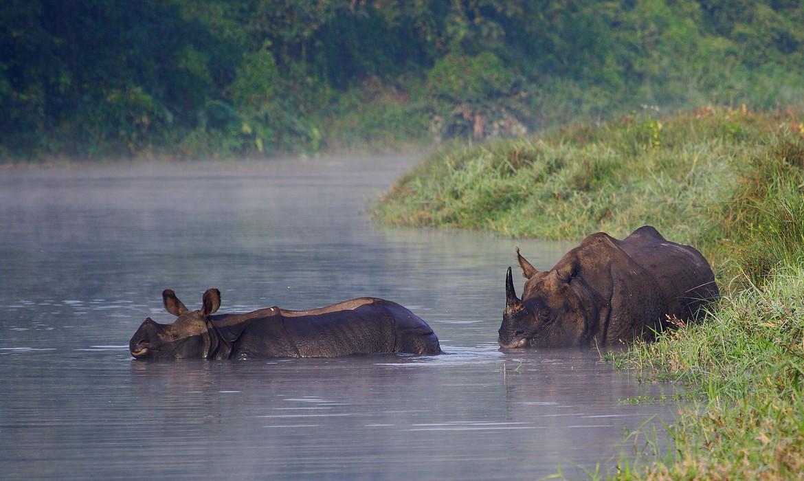 Chitwan National Park