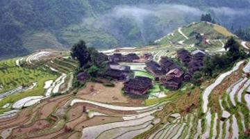 Jiabang Rice Terraces, Guizhou