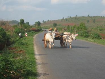 Local farmer, Pyin oo Lwin