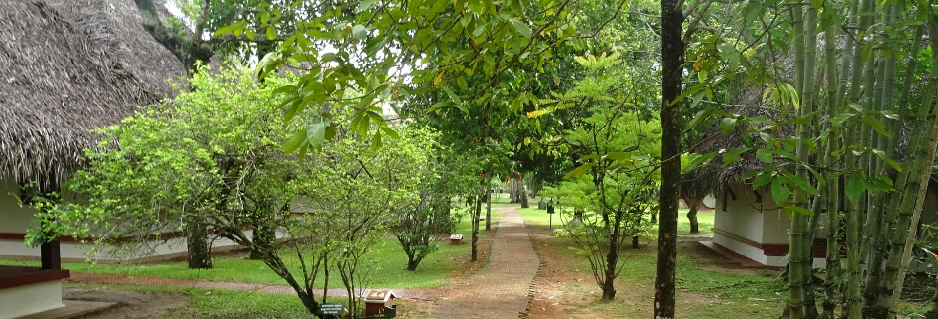 Marari Sands Beach resort, Marrari