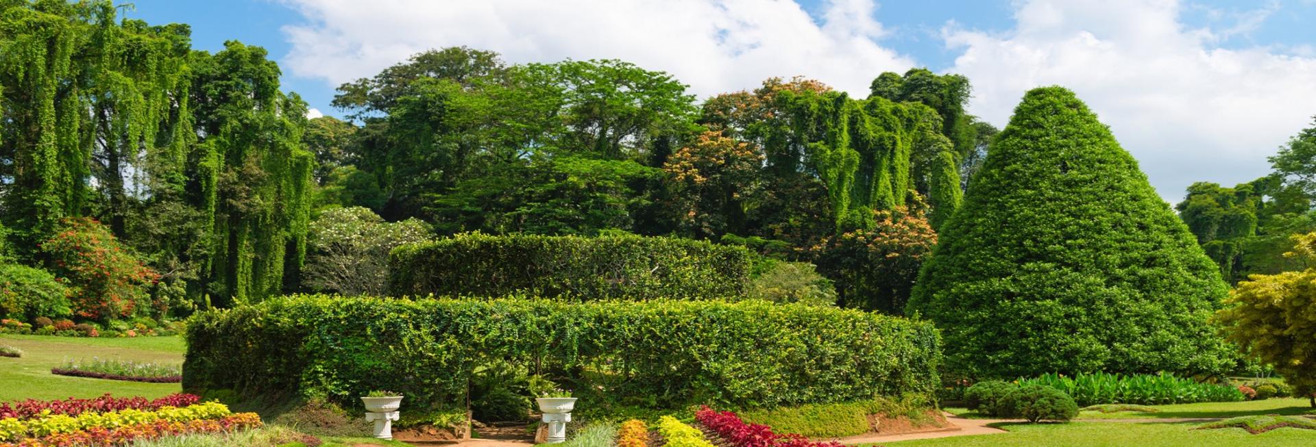 Peradeniya Botanical Gardens, Sri Lanka