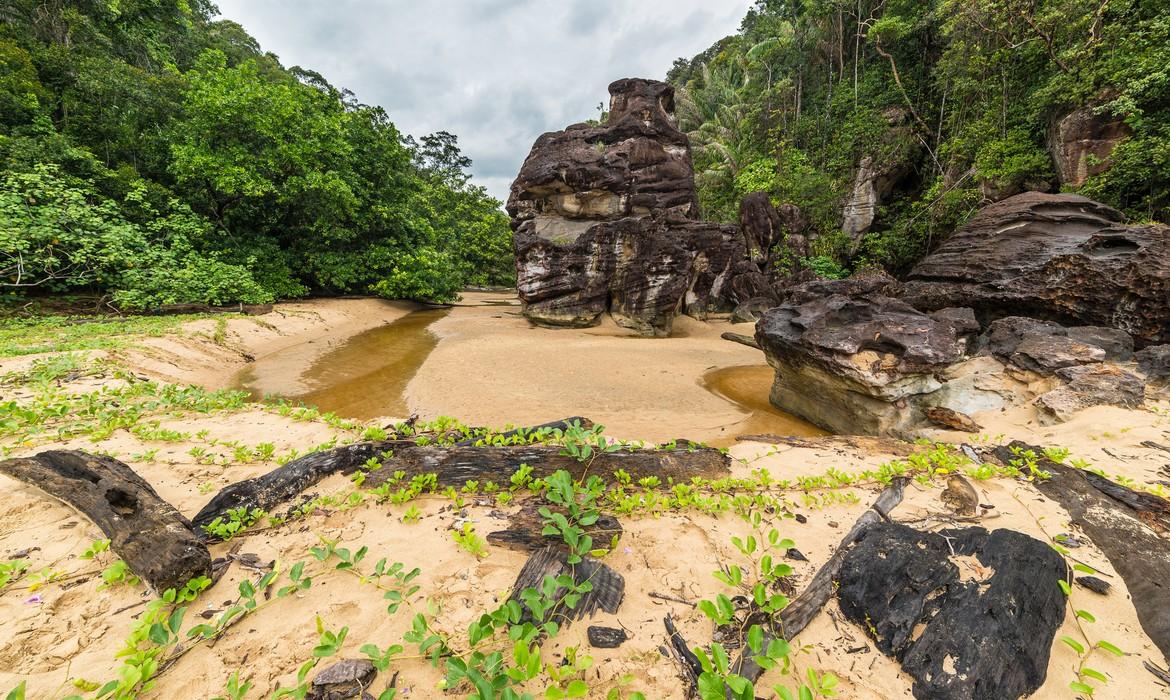 Landscape, Bako National Park