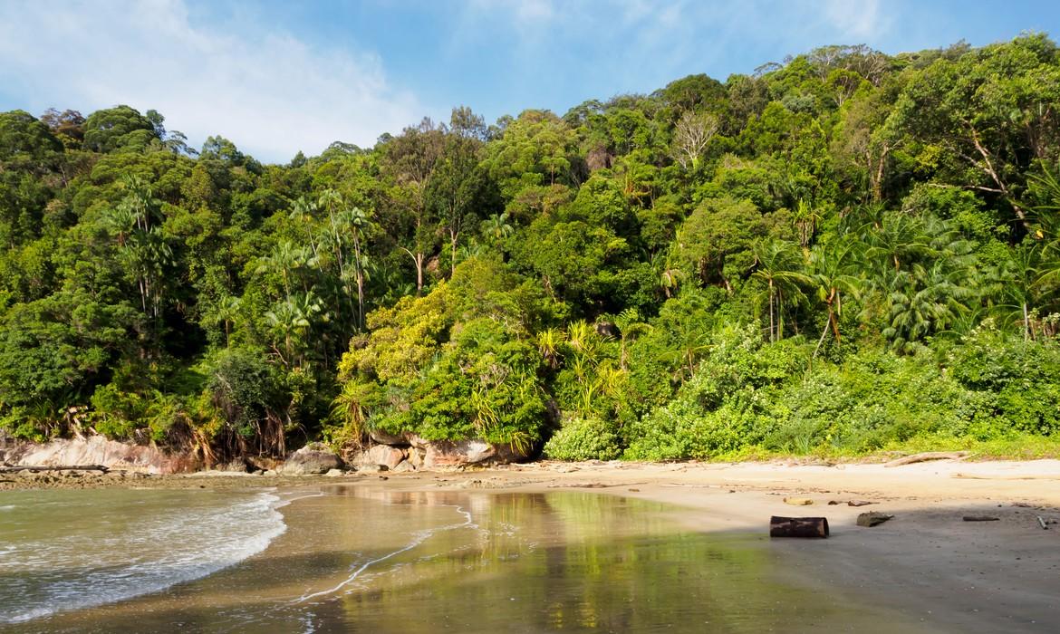 Paku Beach, Bako National Park