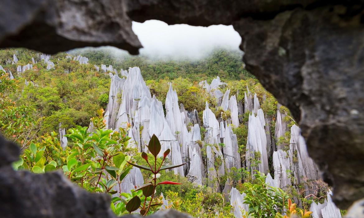 Pinneacles, Mulu National Park