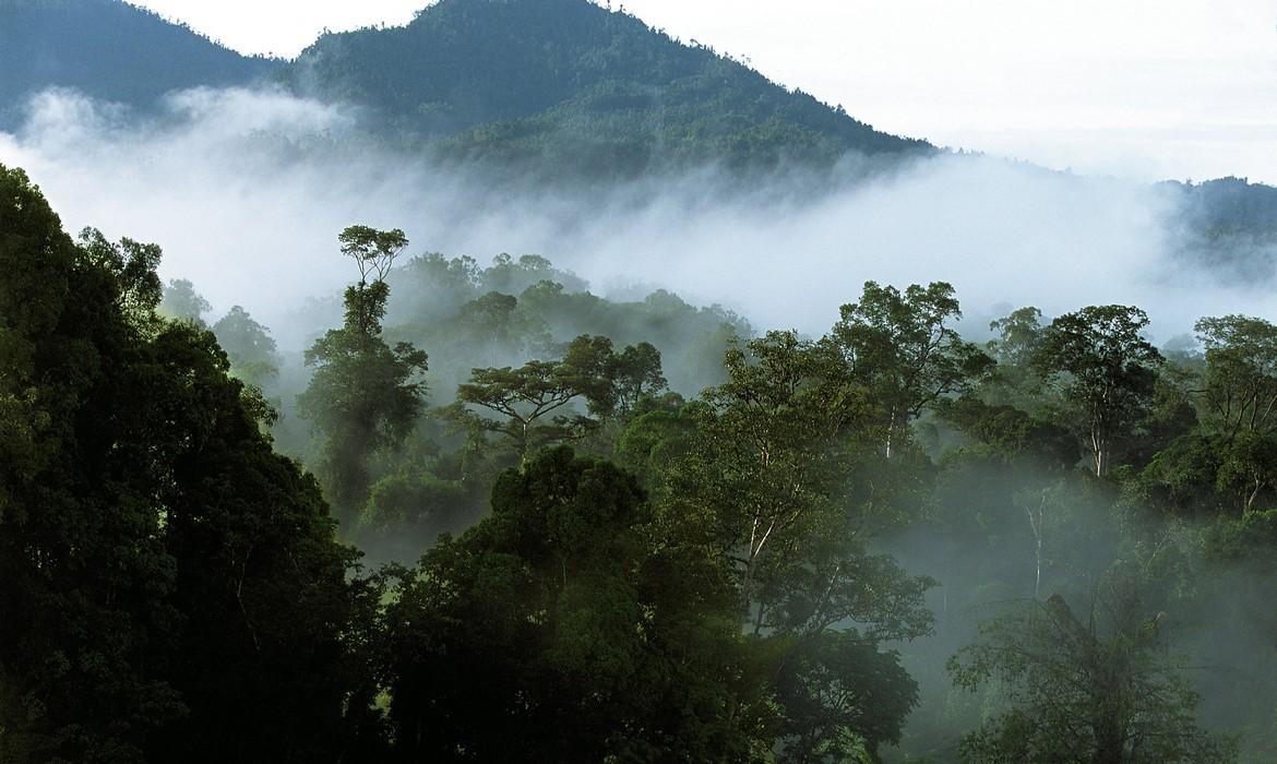 Mulu National Park