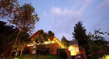 Belum Rainforest Resort