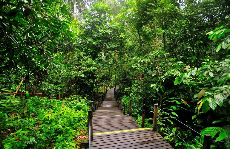 MY Nature Resort, Sepilok