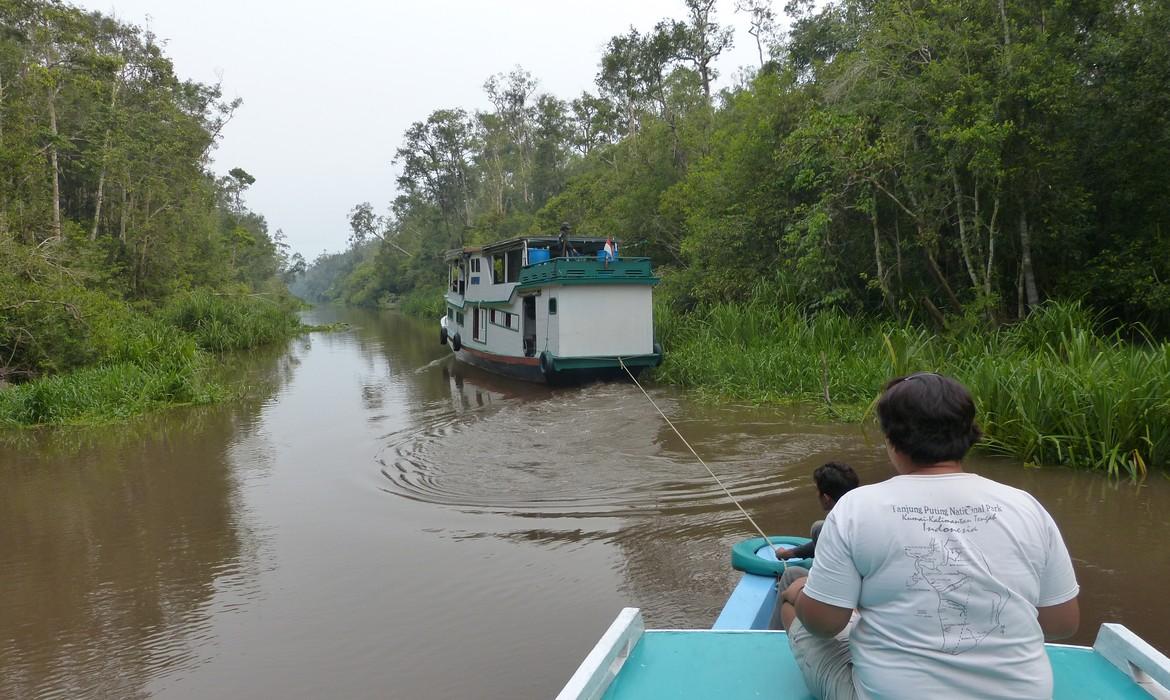 Black River, Tanjung Puting National Park