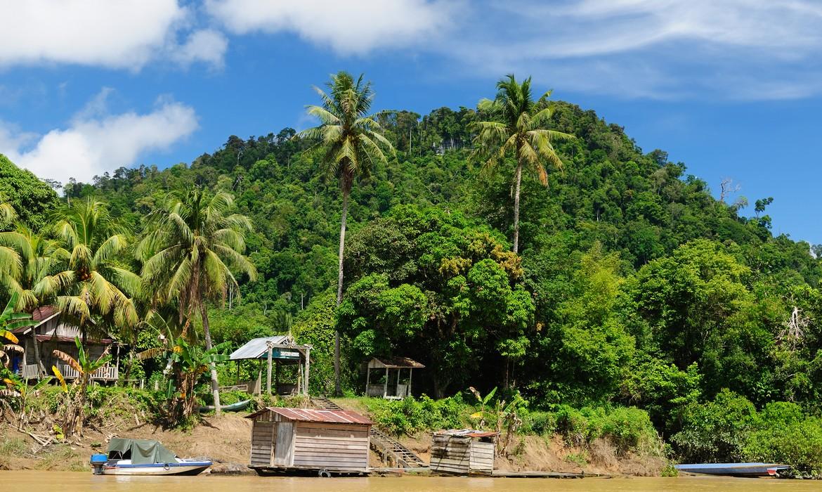 Jungle & river, Kalimantan
