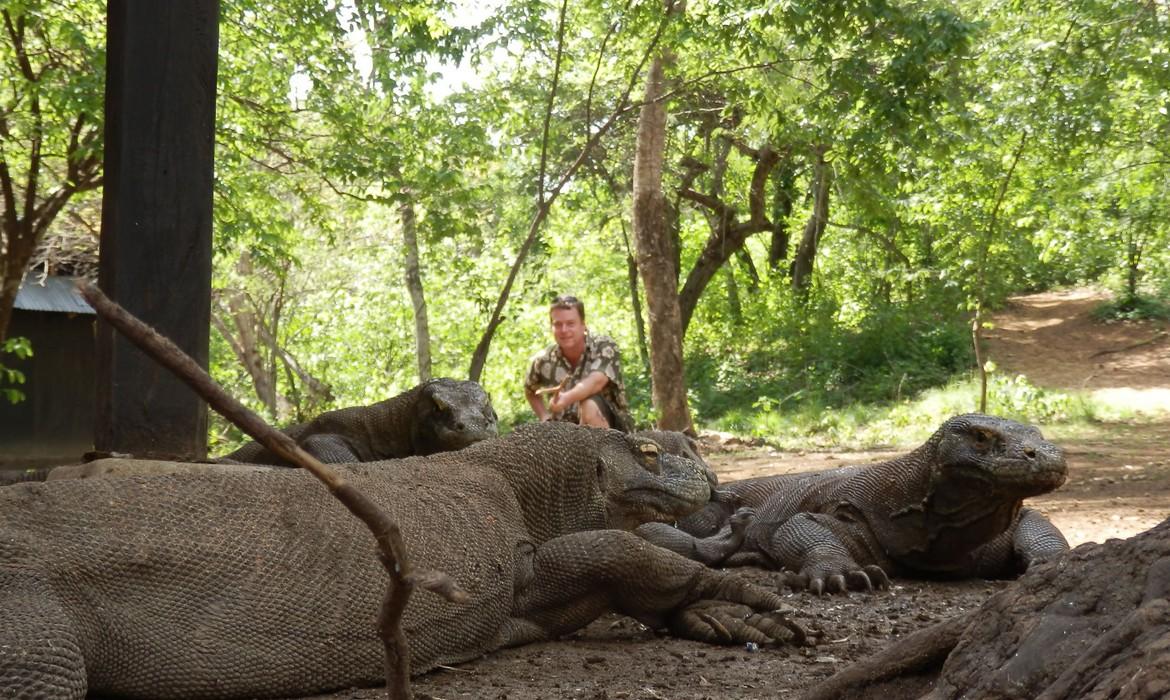 Dragons & hero, Komodo Islands