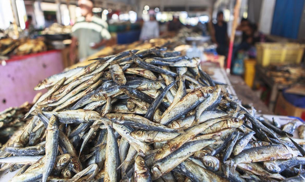 Dried fish market, Labuan Bajo