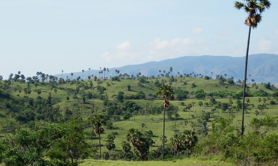 Komodo National Park