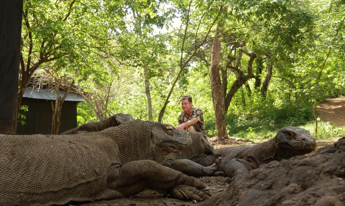 Komodo Dragons & hero