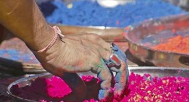 Picking colourful gulal powder for Holi