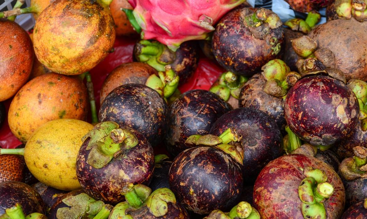 Tropical fruits, Gili Meno