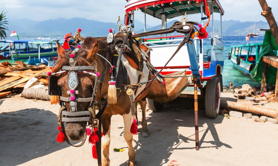 Cidomo, Gili Trawangan