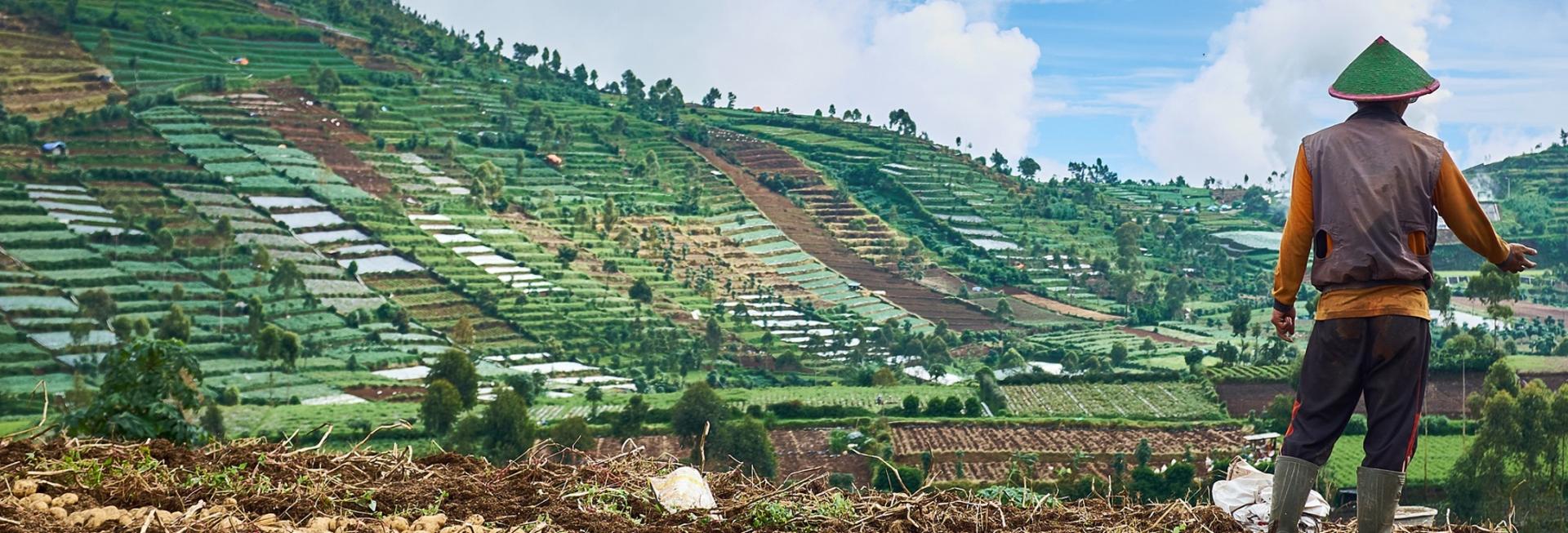 Dieng Plateau on a tour of Sumatra and Java