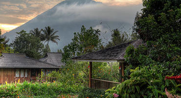 Gardenia Country Inn