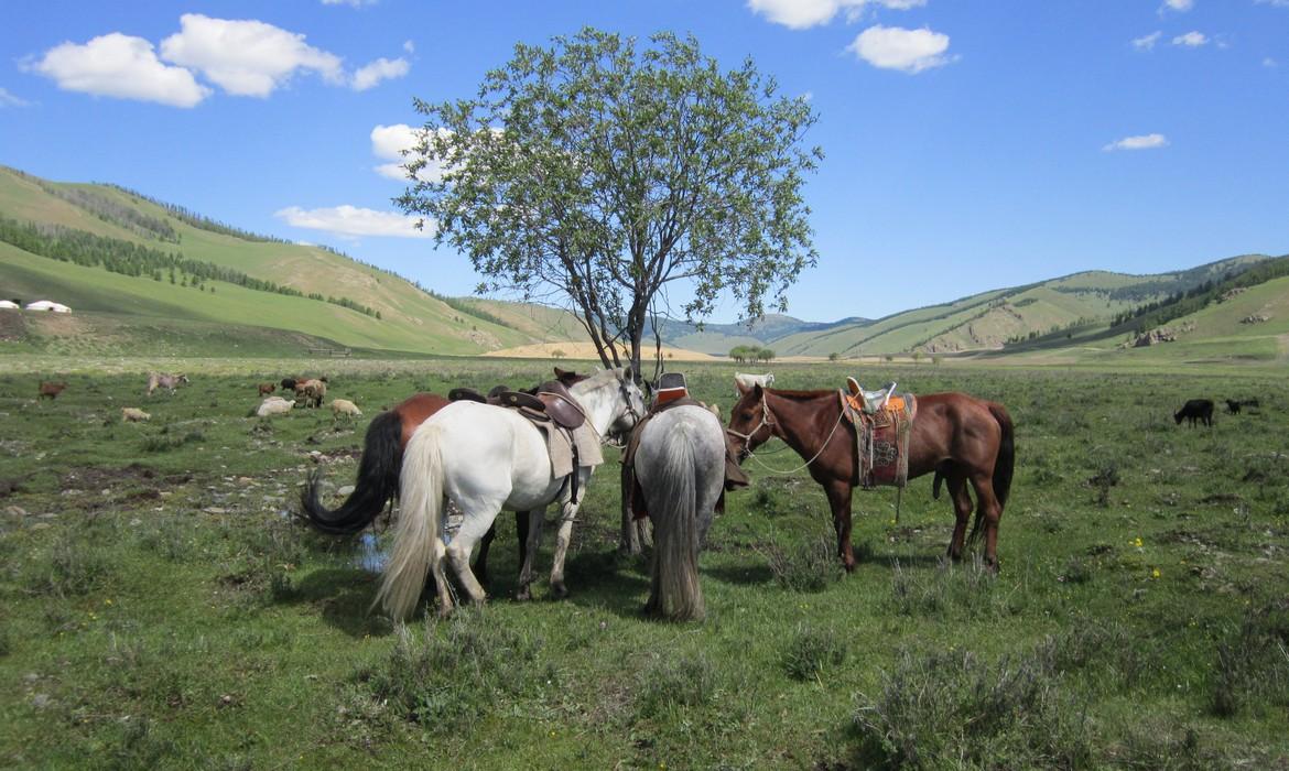Terelj National Park