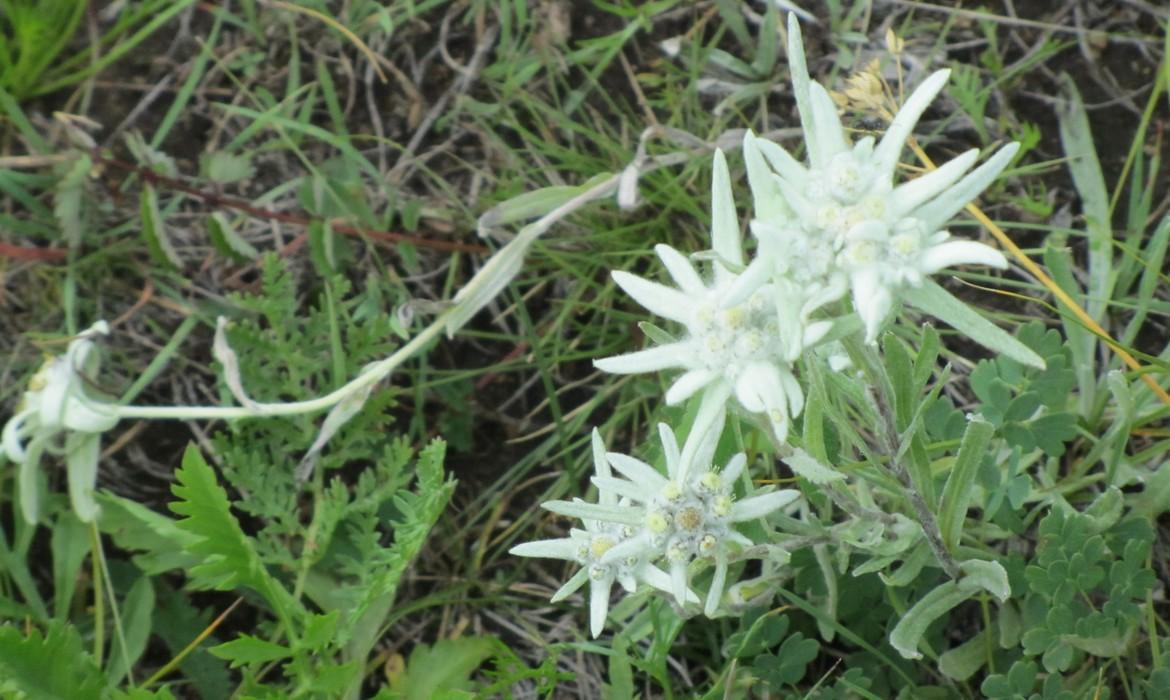 Terelj National Park